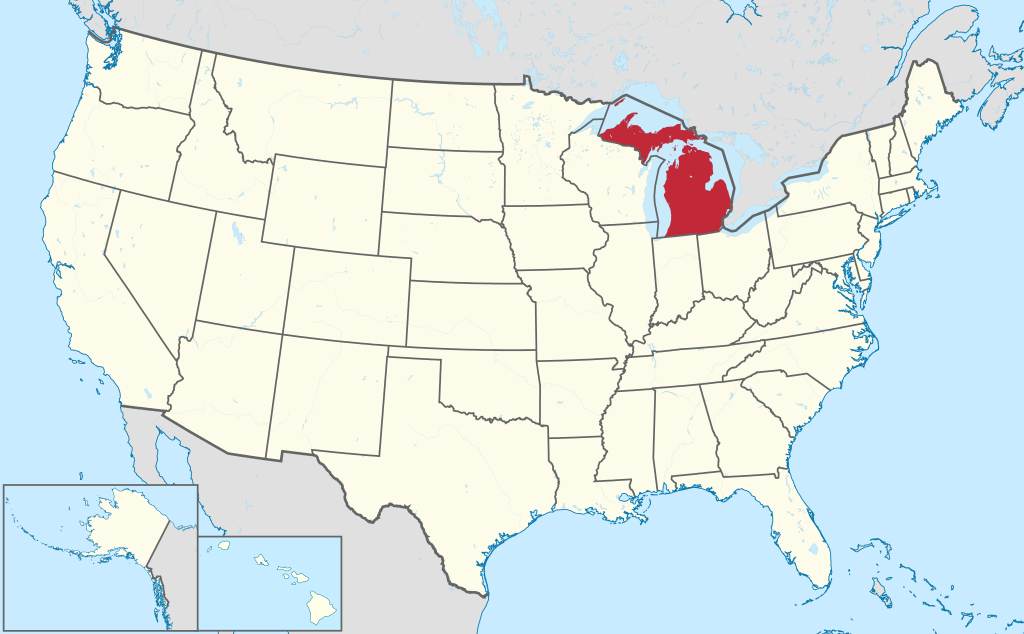 Michigan VIN Check