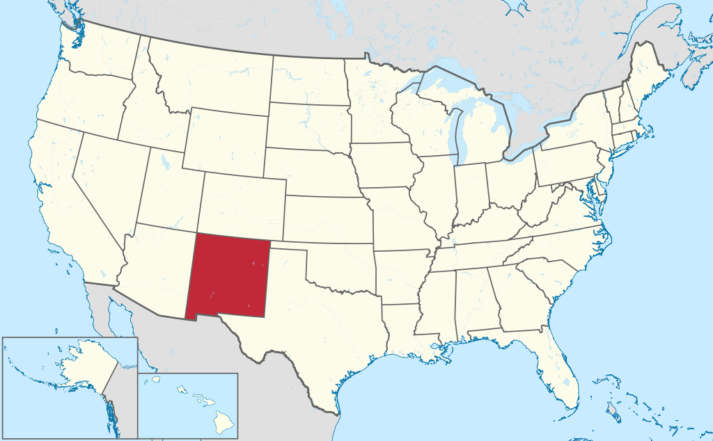 New Mexico VIN Check