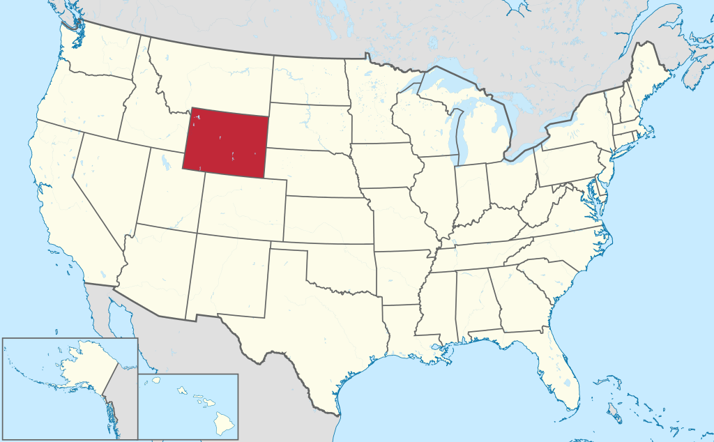 Wyoming VIN Check