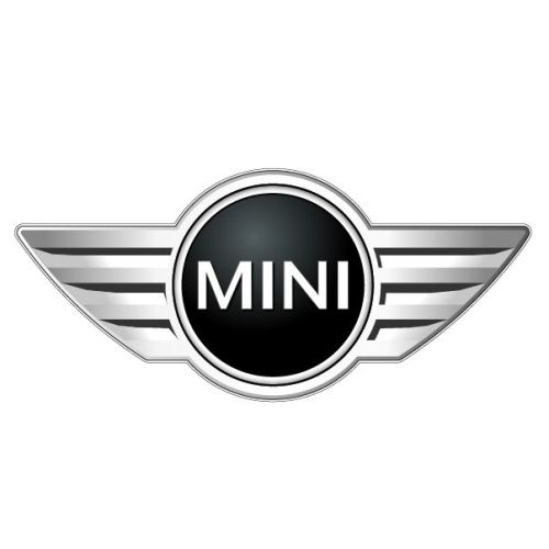 Mini VIN Check