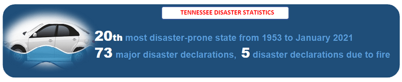 Tennessee Salvage VIN Check