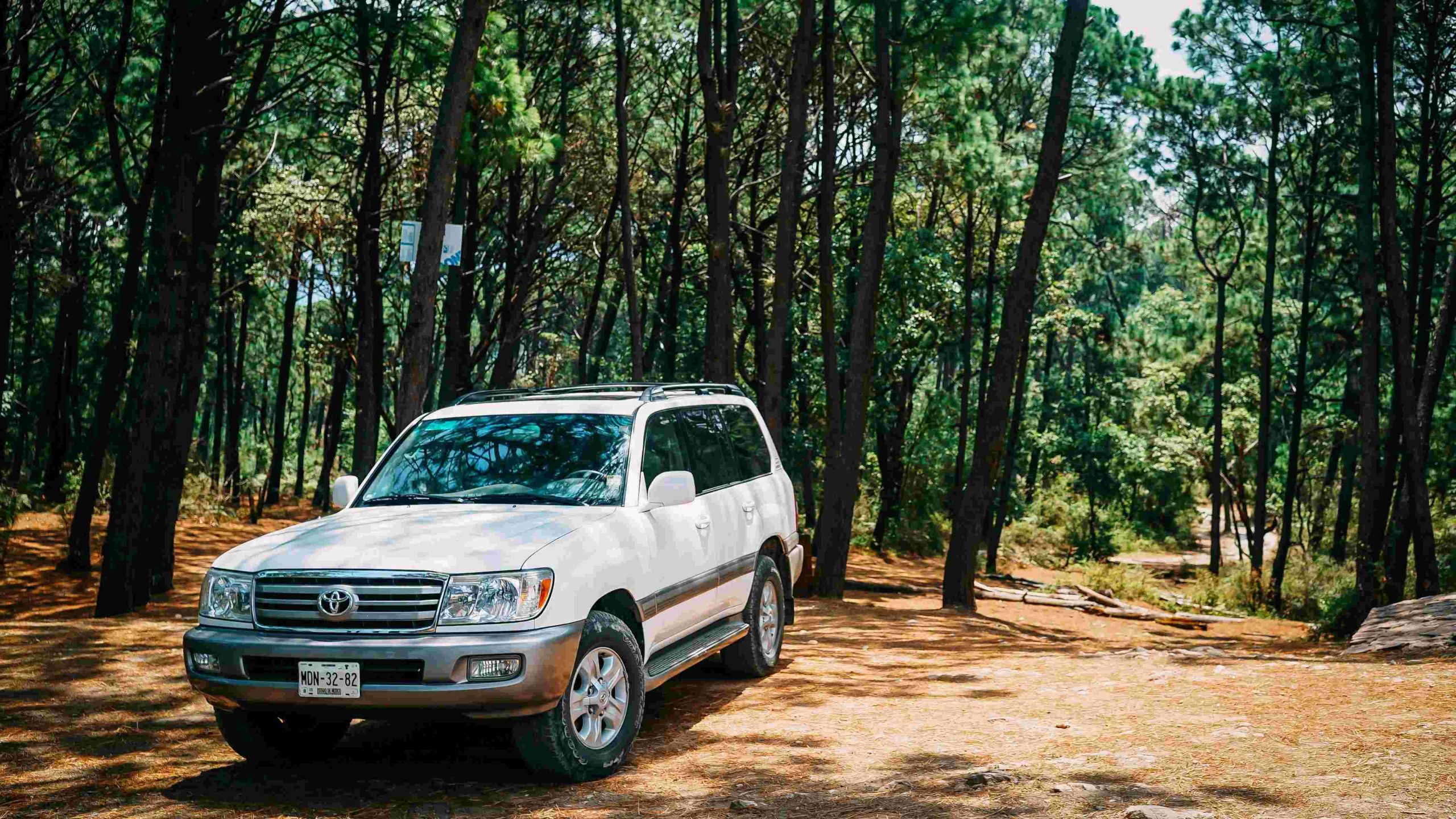 White Toyota Land Cruiser Parked In Forest