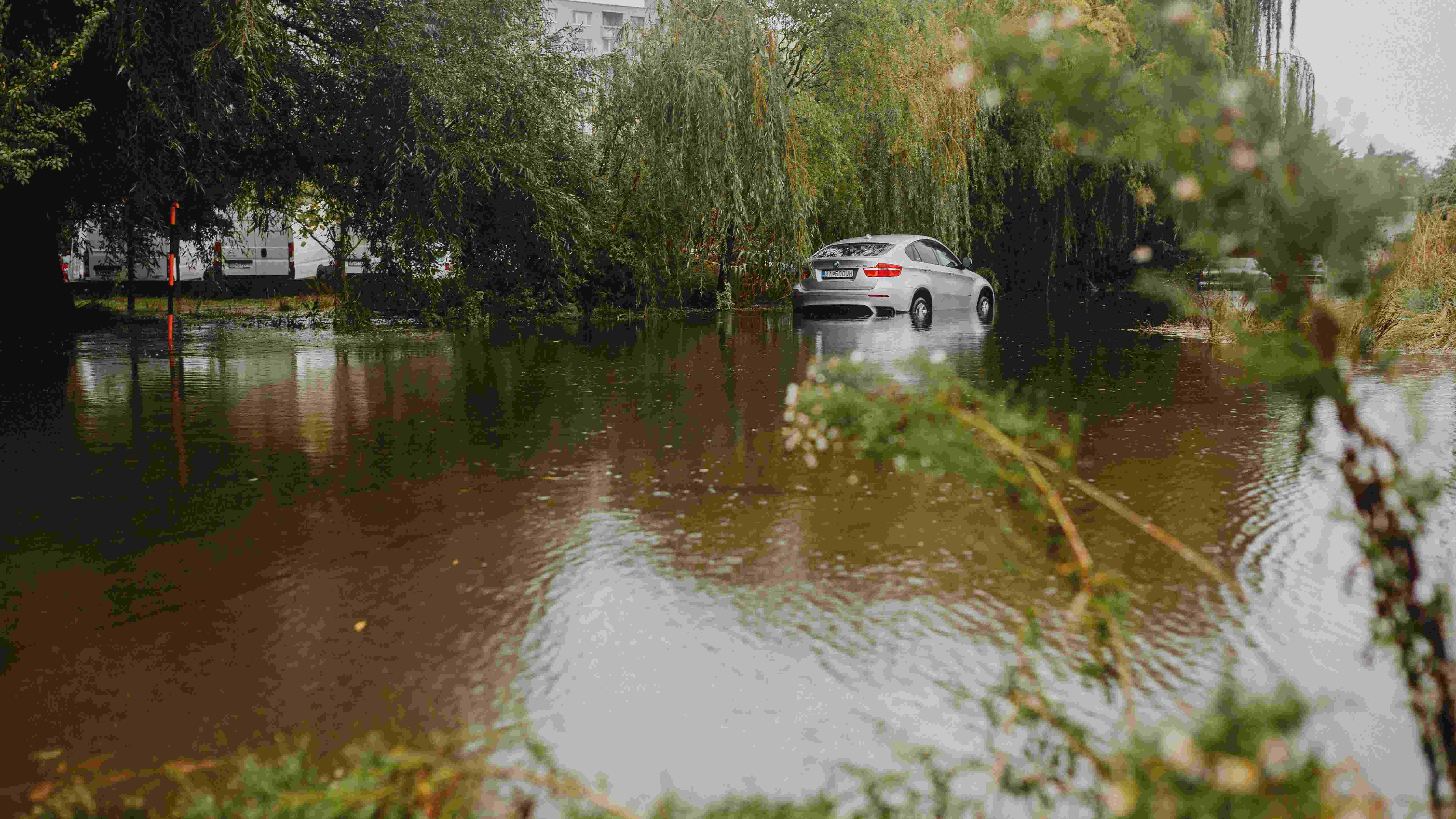 Flood Damage Car Check